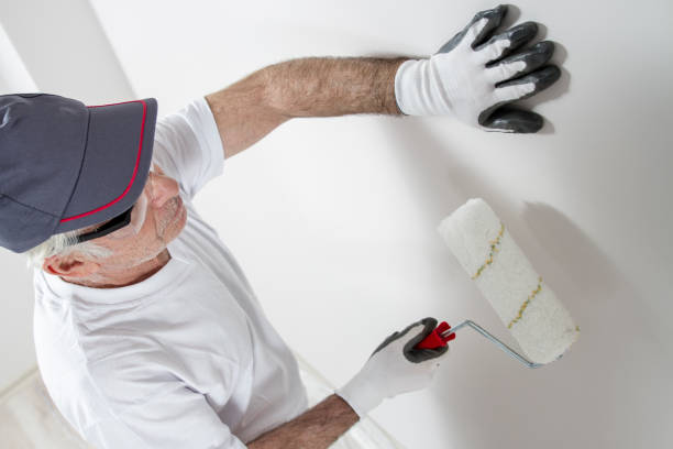 Best Water Damage & Mold Remediation  in Grover, WY