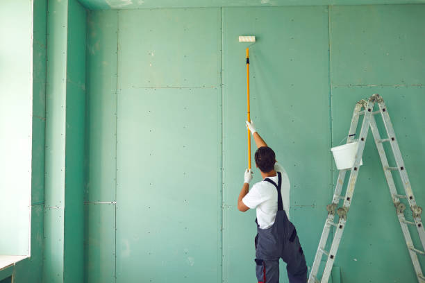 Trusted Grover, WY Mold Removal Experts