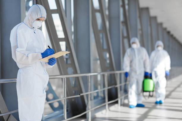 Best Mold Damage Restoration  in Grover, WY