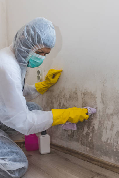 Best Airborne Mold Testing  in Grover, WY